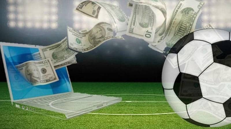 Tham Khảo Ý Kiến Chuyên Gia