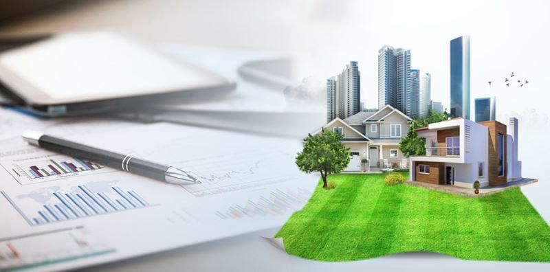 Các bước kiểm tra thông tin chủ đầu tư chuẩn xác cho người mới