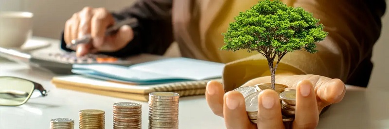 Pháp Lý Rõ Ràng Và Uy Tín Chủ Đầu Tư